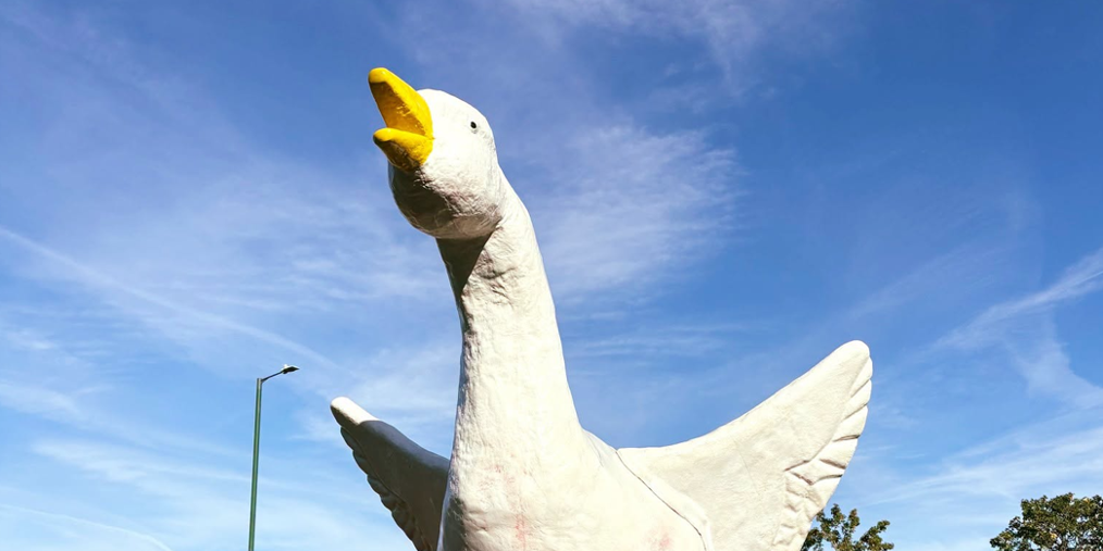 Goose Fair returns Friday 25 September